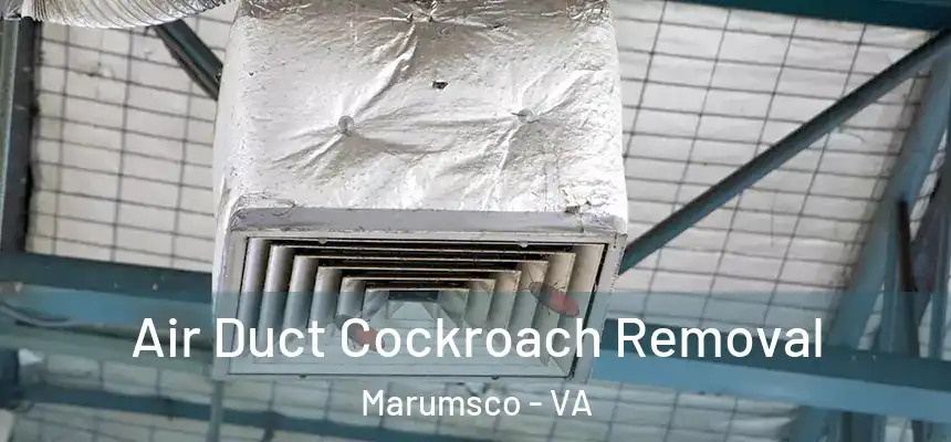 Air Duct Cockroach Removal Marumsco - VA