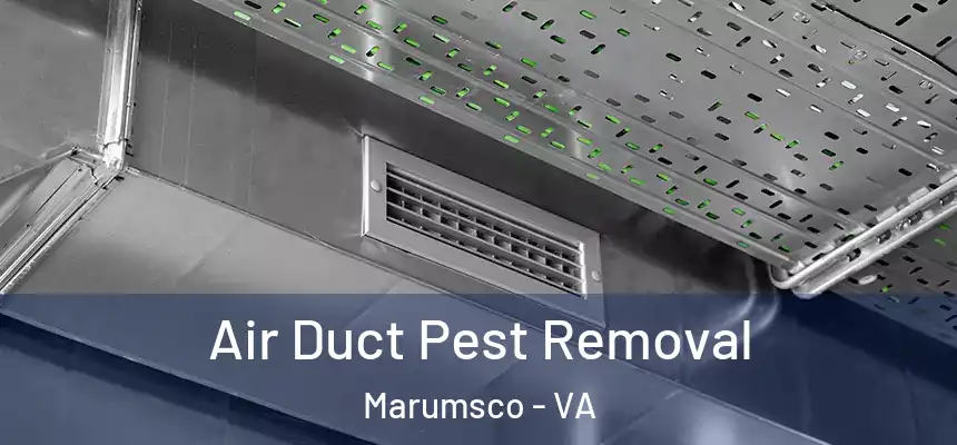 Air Duct Pest Removal Marumsco - VA