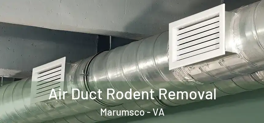 Air Duct Rodent Removal Marumsco - VA