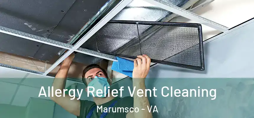 Allergy Relief Vent Cleaning Marumsco - VA