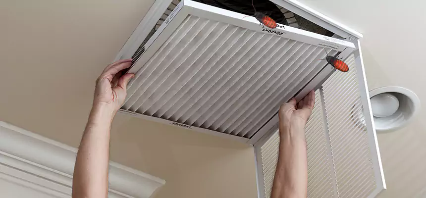 Preventive Cockroach-Proofing for Ducts in Marumsco
