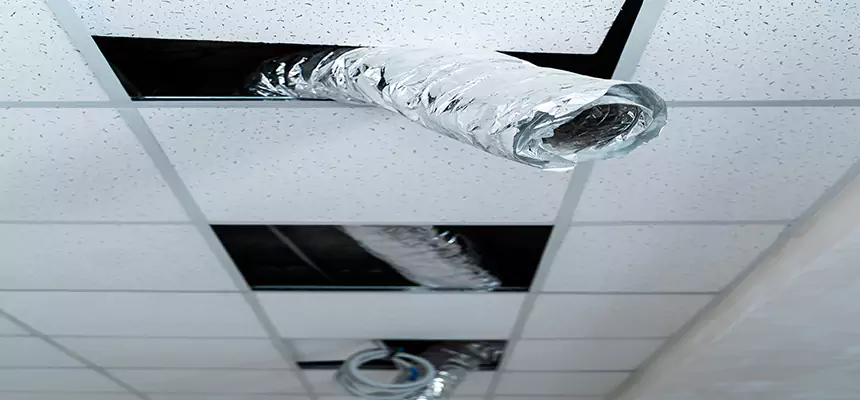 Our Air Duct Pet Hair Removal Services in Marumsco, VA