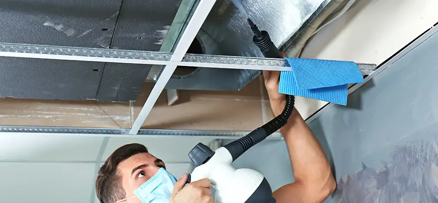 Our Air Duct Rodent Removal Services in Marumsco, VA