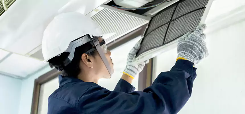 Our Mold & Mildew Removal from Air Ducts Services in Marumsco, VA