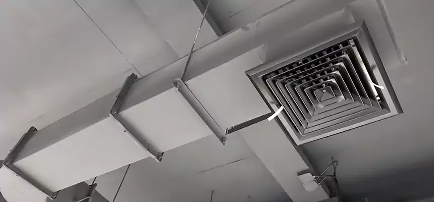 Our Pest Removal From Ducts Services in Marumsco, VA