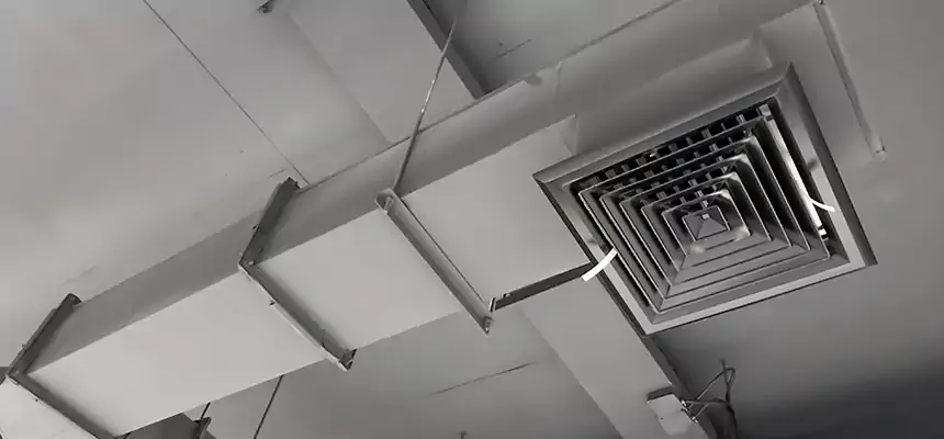 Our Rodent Droppings In Vents Services in Marumsco, VA