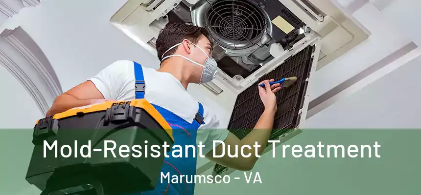 Mold-Resistant Duct Treatment Marumsco - VA