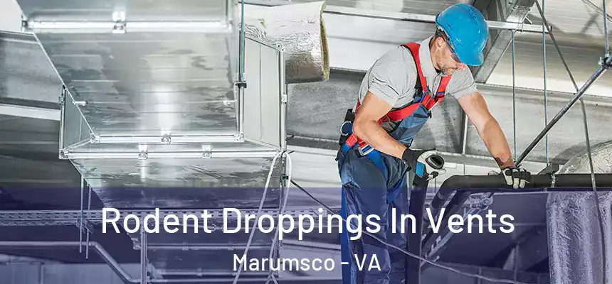  Rodent Droppings In Vents Marumsco - VA