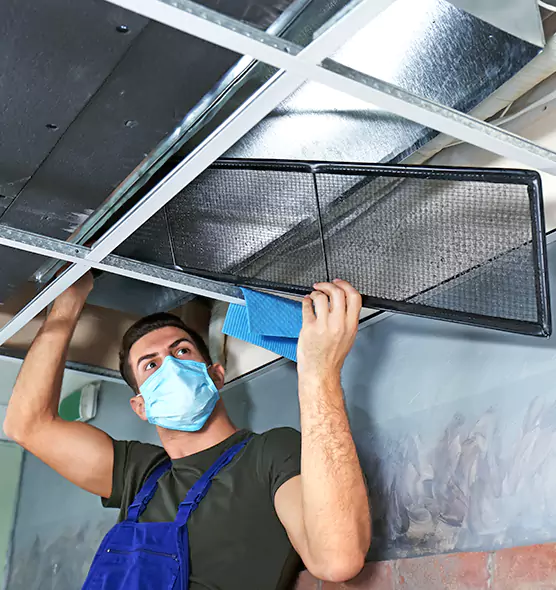 About Air Duct Bacteria Removal in Marumsco