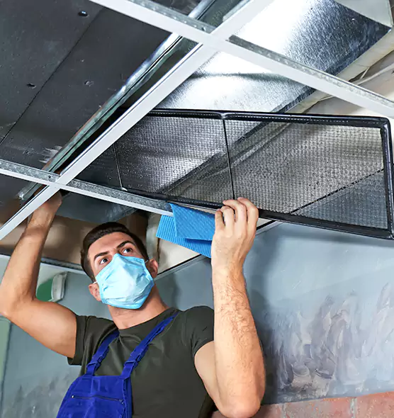 Professional Air Duct Pollen Cleaning in Marumsco, VA