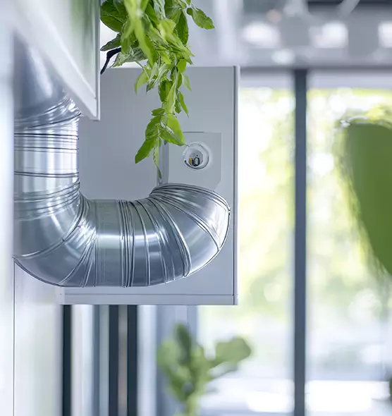 Professional Eco-Friendly Duct Cleaning Services in Marumsco, VA