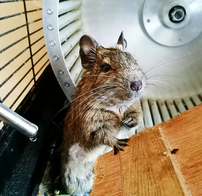 Why Homeowners & Businesses Trust Us Marumsco, VA