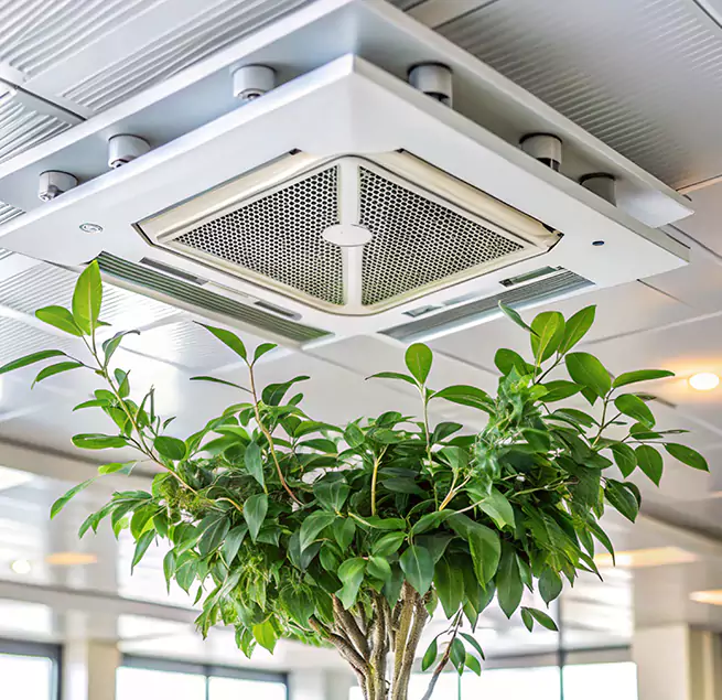 Why Homeowners & Businesses Trust Us in Marumsco, VA