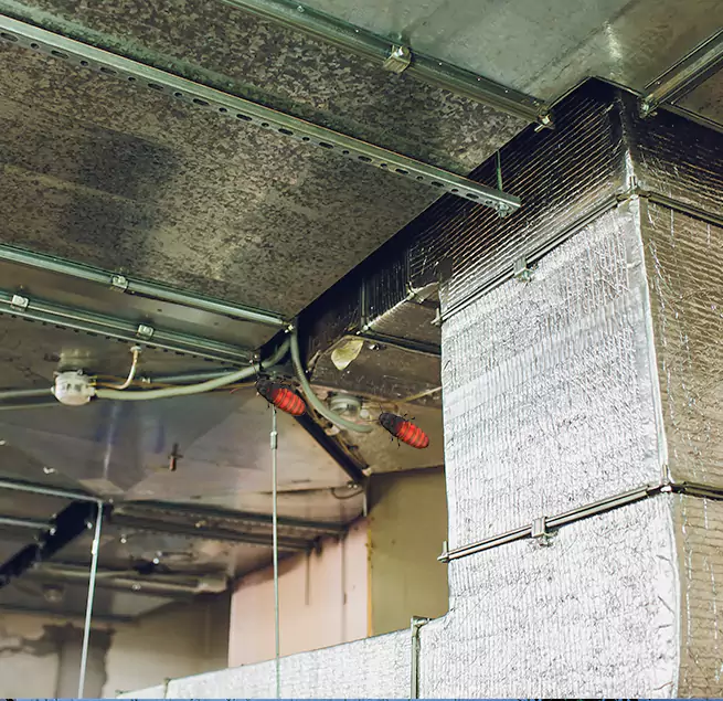 Why Homeowners & Businesses Trust Us Marumsco, VA?